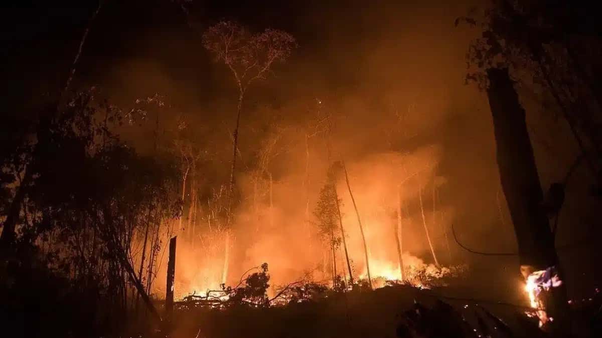 Incêndio de grande porte em área de desmatamento na Amazônia