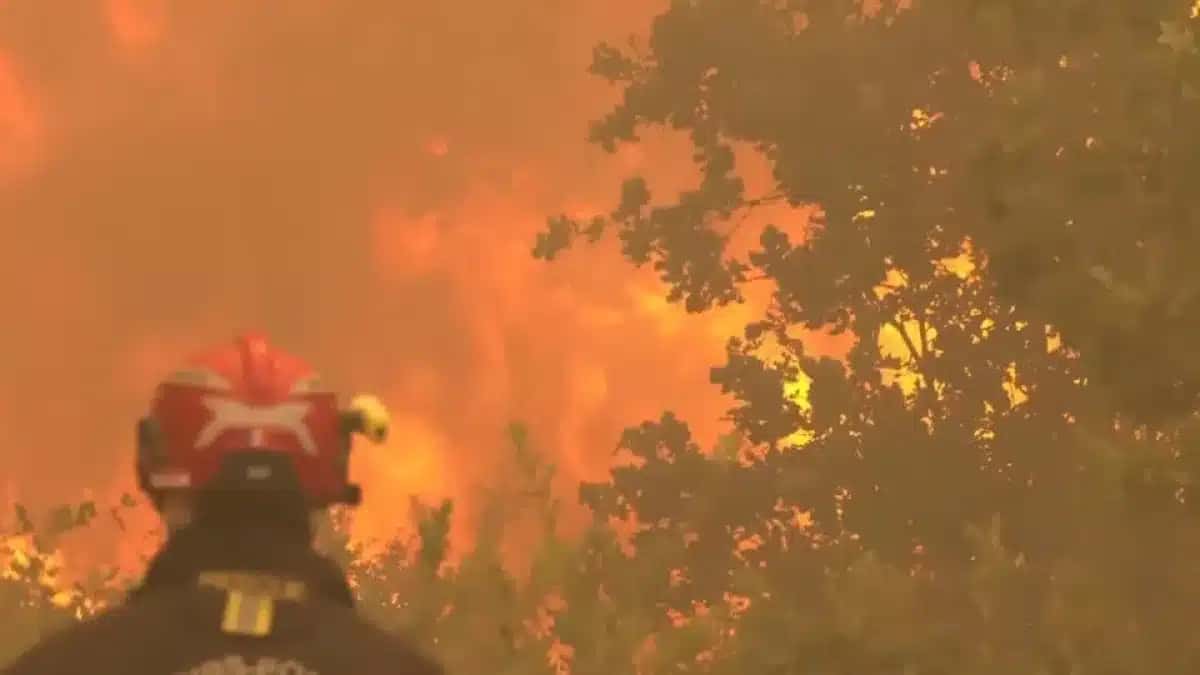 Incêndios florestais na França