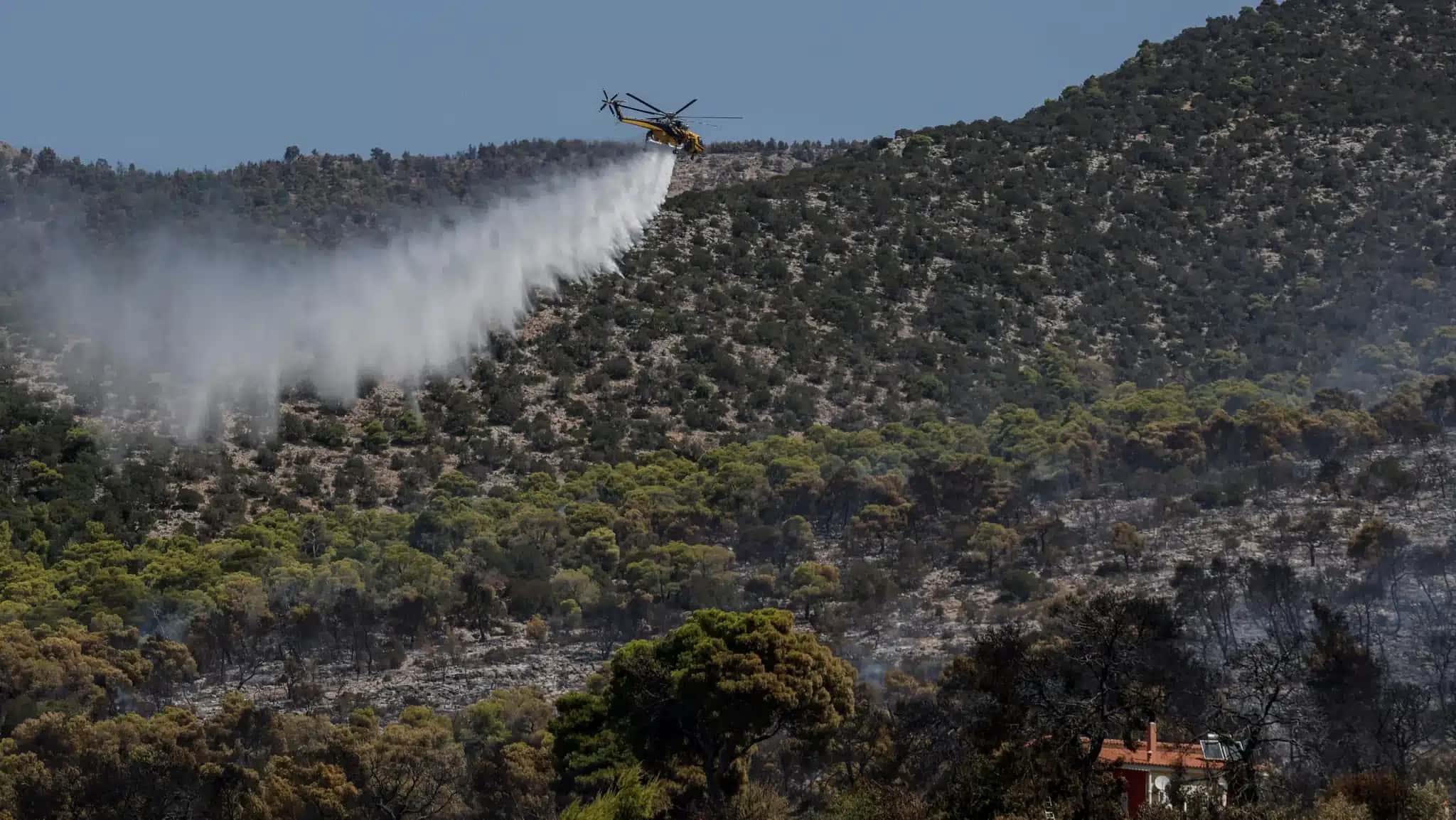 Incêndio florestal na Grécia 4 de agosto de 2026 REUTERS/Louisa Gouliamaki