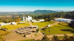 Vibra Foods adquire 40% da Tyson e retoma controle total da empresa após joint venture de seis anos
